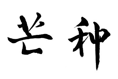 火影十八加：巅峰忍道启程，十八技谱绘传奇，冒险旅程不止于此