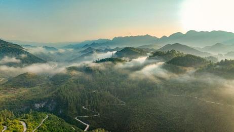 茄子视频黄片：探索奇幻世界：揭秘茄子视频游戏神秘面纱与攻略攻略-1