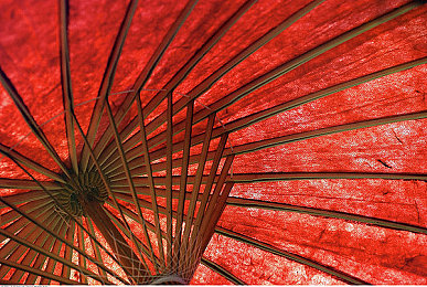 王氏寺庙避雨与师徒四人：传奇师徒避雨奇缘，团结力量铸就避风港