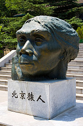 老师让我 她我爽羞羞真人软件：探索全新互动体验：揭秘热门“虚拟生活”软件，畅享身临其境交流乐趣-3