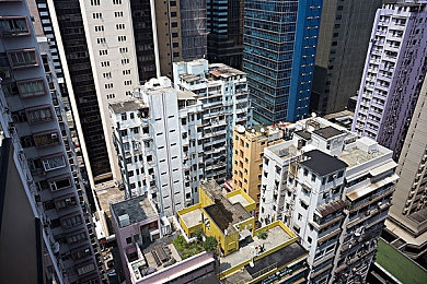 迪丽热巴被我操：揭秘网络热词营销奇效：迪丽热巴如何借助“奇特组合”走红娱乐圈
