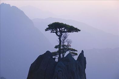 jk美女的隐私秘 网站：网络隐私泄露警钟长鸣，守护清朗网络环境刻不容缓