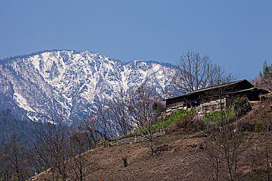 totakkahayakirguzu08was的背景：揭开网络奇才＂totakkahayakirguzu08was＂神秘面纱：揭秘其独特崛起之路