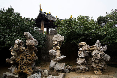 商务旅行女老板戴绿色的帽子：绿色挑战：女老板职场戴“绿帽”背后的坚韧与成长