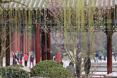 外国趴着脱裤子打光屁股：探索欢乐互动：揭秘神秘游戏独特玩法，体验视觉盛宴乐趣-2