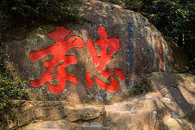 黄油苹果+18+：揭秘“黄油苹果+18+”：新兴游戏平台崛起，市场潜力与社会责任并重