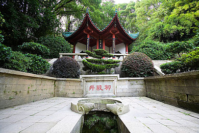 福导航：奇幻探险家：宝藏寻踪，勇者升级之旅-2