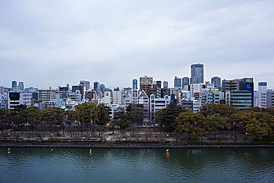 法国空姐2019满天星法版星辉照耀：空中天使：法式浪漫，星辉闪耀之旅