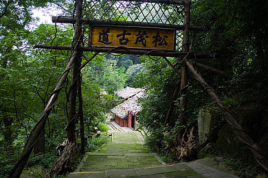 冲宫那美爱弓凉和结弦：声色交织，梦想启航：跨界声优组合演绎听觉盛宴