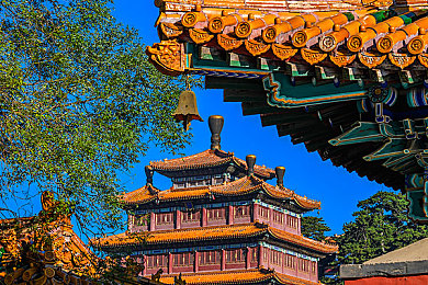 91吃瓜中心：网络乐园畅游，趣味资讯共享乐园-2