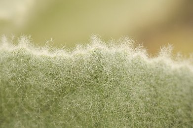 杨颖被揉到高潮喷了一床黄漫：隐私风暴：Angelababy事件掀网络伦理风暴，维权之路在何方？-1