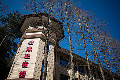 天天色天天搞：轻松搞笑游戏“欢乐日常”走红，玩家笑出声，生活更精彩-2