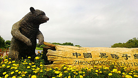 管鲍分拣中心入口章节笔趣阁：游戏迷福音：探秘神秘分拣中心，解锁游戏世界新篇章