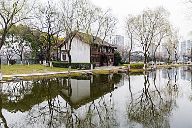 舒淇被C到高潮下不了床：沉浸式冒险，情感共鸣，解锁游戏极致体验之旅-2