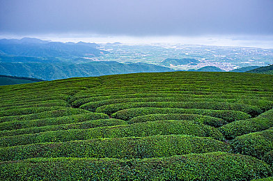张雨欣人文艺术欣赏50幅：走进人文画卷，张雨欣艺术之旅揭示时光故事之美-2