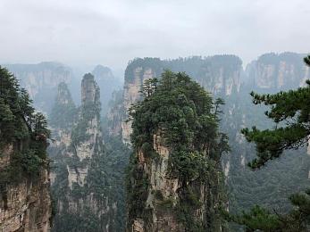 又疼又叫的打扑克软件：创新互动体验：打扑克软件“又疼又叫”引发热议，趣味玩法重燃游戏热情-2