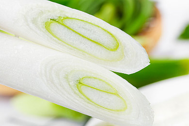 www.sezonghe：破局之道，SEO新秀引领游戏企业翻涌浪潮-2