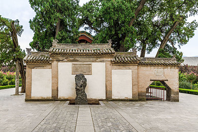高强书记杨晓婷最新：新时代领导风采：携手共进，智慧领航-2