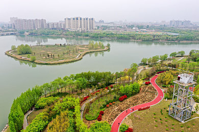 黄色APP下载淫OPPO：OPPO游戏安全警钟长鸣：揭秘手机应用市场的暗流涌动-3