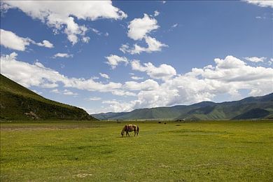粉色abb苏州晶体免费下载安装2024：梦幻探险，粉色苏州奇遇记-2