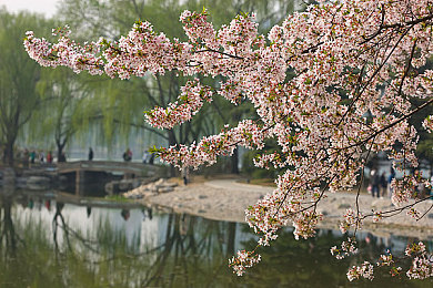 性吧导航：解谜探险新体验，揭开“性吧导航”神秘游戏世界面纱-5
