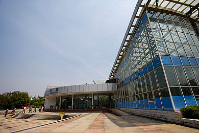 被女同学绑住我折磨小鸡：趣味探险，鸡缘女伴共欢笑-3