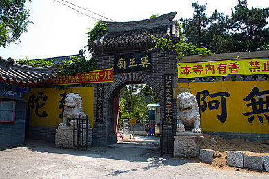 优菈丘丘人繁衍后代：神秘世界探险：心灵共鸣，繁衍新篇，体验种族进化之旅-3