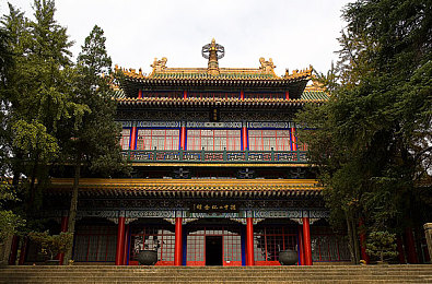 六月丁香婷婷开心：花园绽放，心乐融融——探秘自然之美，共度欢乐时光-4