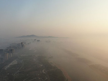 免费的黄色软件3.0：网络迷途陷阱重重：揭秘免费软件背后的道德迷雾与安全挑战