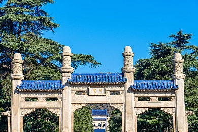 打扑克的又疼又大的软件：“刺激扑克新潮流，社交互动“疼”乐趣-2