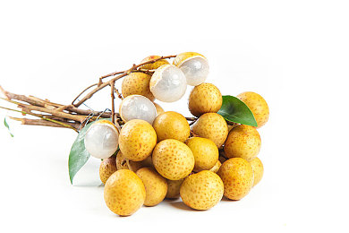 69乐园的交友平台：破茧成蝶，绿色社交新纪元，揭秘匿名交友界的清新乐园-3