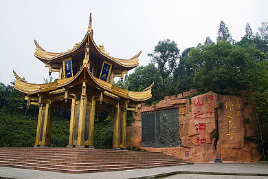 国产毛毛：“萌宠相伴，温馨时光，玩转创意世界”-3
