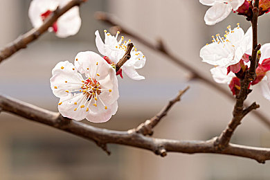 天涯por官方色板：色彩革新，品牌升级：游戏《天涯por》官方色板发布引发行业关注-2