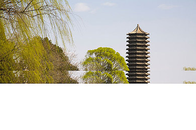 女警花被挠脚心：趣味挠脚心，减压新天地：探寻游戏独特魅力之旅-5