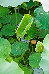 17 c：智融未来，生活新境，17℃科技盛宴-2