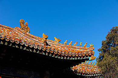 粉色视频在线免费观看：揭秘浪漫视界，探寻心灵慰藉背后的网络魅力之旅-3