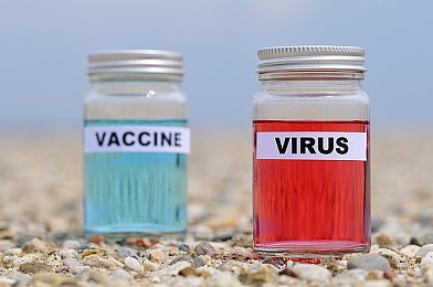 免费播放黄色视频：网络守护者：净网先锋，守护清朗空间-3
