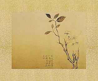七客分享破解：游戏社区新纪元：揭秘互动模式创新，七客分享破解引领潮流-3