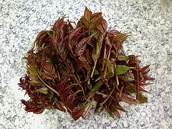 免费的剧烈运动扑克网站：运动扑克新风尚，健康娱乐两不误-1