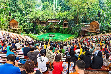 军人福瑞Gay自慰脱裤子：军旅奇幻之旅，沉浸式互动体验，探索荣耀与友情