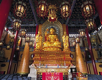 抖音视频意外走7028：数字奇遇：抖音日常瞬间，引爆7028次点击奇迹-4