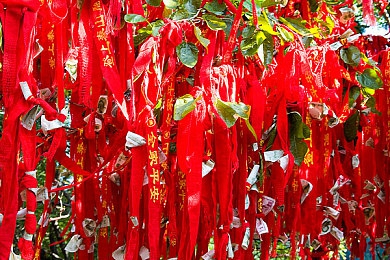 黄色富二代：富二代社交新潮流：揭秘娱乐至上的生活方式与独特优势-2