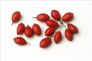 杨玉环的三 毛A范冰冰：穿越古今，杨范合璧：三毛A魅力游戏，笑解历史之谜-2