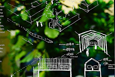 美国空姐满天星叫什么名字：云端微笑，满天星之旅