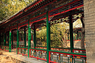 狼人综合网：畅游游戏乐园，狼人杀新境界，尽在互动天地-5