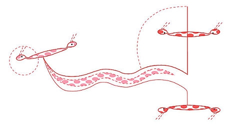 孟若羽天美传煤：穿越奇幻之旅，尽享《天美传奇》画卷之美-4