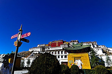 牧场wⅠdeos人与交kg：牧场奇遇，友谊无限，共筑美好家园-4