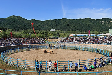 和朋友一起三p娇妻：三屏共舞，欢乐无限，共创虚拟王国-4