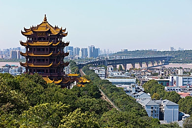 原千岁巅峰之作：创新巅峰，幻域启航：引领游戏新纪元的里程碑之作-4