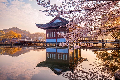 OPPO黄色软件破解：揭秘手机软件破解迷局：隐私风险与法律挑战并存-4